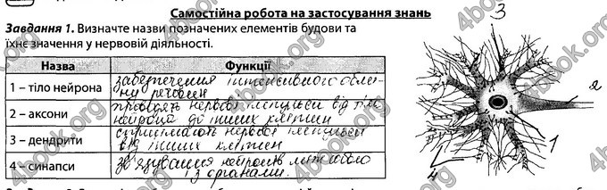 Відповіді Зошит Біологія 8 клас Соболь. ГДЗ