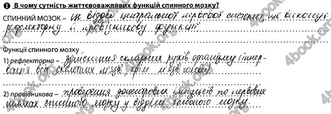 Відповіді Зошит Біологія 8 клас Соболь. ГДЗ