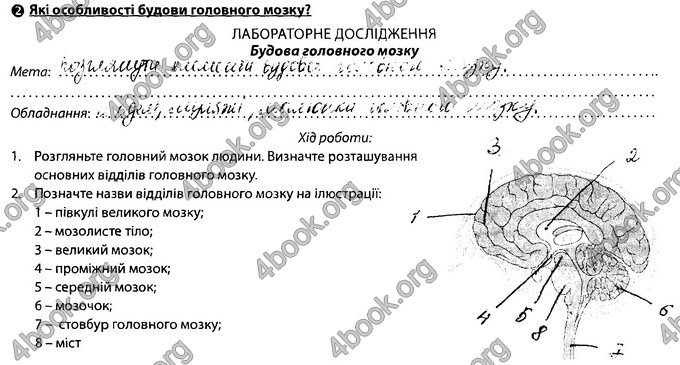 Відповіді Зошит Біологія 8 клас Соболь. ГДЗ