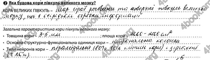 Відповіді Зошит Біологія 8 клас Соболь. ГДЗ