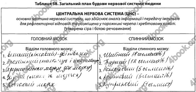 Відповіді Зошит Біологія 8 клас Соболь. ГДЗ