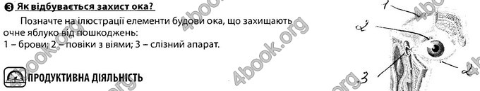 Відповіді Зошит Біологія 8 клас Соболь. ГДЗ