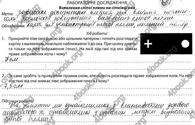 Відповіді Зошит Біологія 8 клас Соболь. ГДЗ