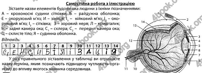 Відповіді Зошит Біологія 8 клас Соболь. ГДЗ