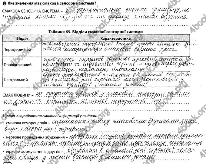 Відповіді Зошит Біологія 8 клас Соболь. ГДЗ