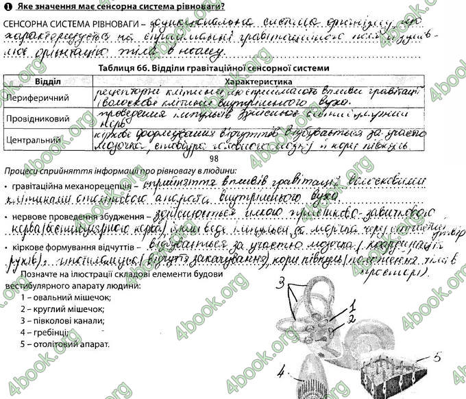 Відповіді Зошит Біологія 8 клас Соболь. ГДЗ