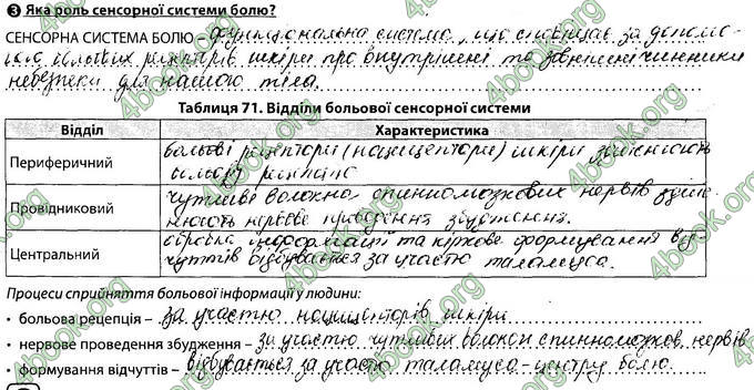 Відповіді Зошит Біологія 8 клас Соболь. ГДЗ