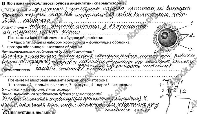 Відповіді Зошит Біологія 8 клас Соболь. ГДЗ