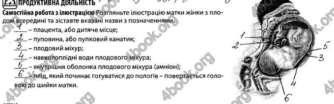 Відповіді Зошит Біологія 8 клас Соболь. ГДЗ