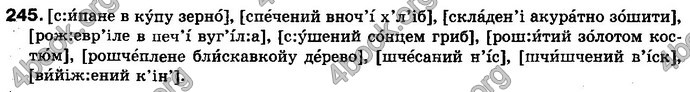 Відповіді Українська мова 10 клас Плющ. ГДЗ