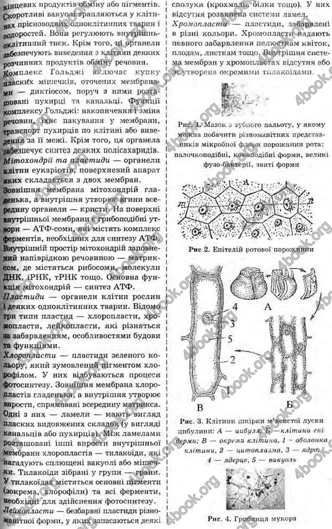 Відповіді Біологія 10 клас Балан. ГДЗ