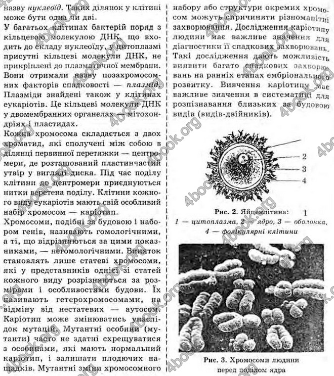 Відповіді Біологія 10 клас Балан. ГДЗ