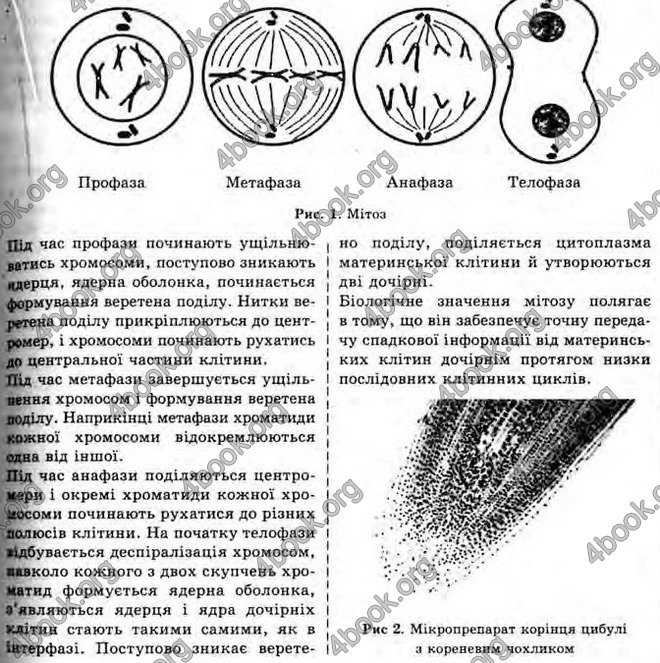 Відповіді Біологія 10 клас Балан. ГДЗ