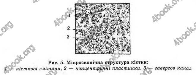 Відповіді Біологія 10 клас Балан. ГДЗ