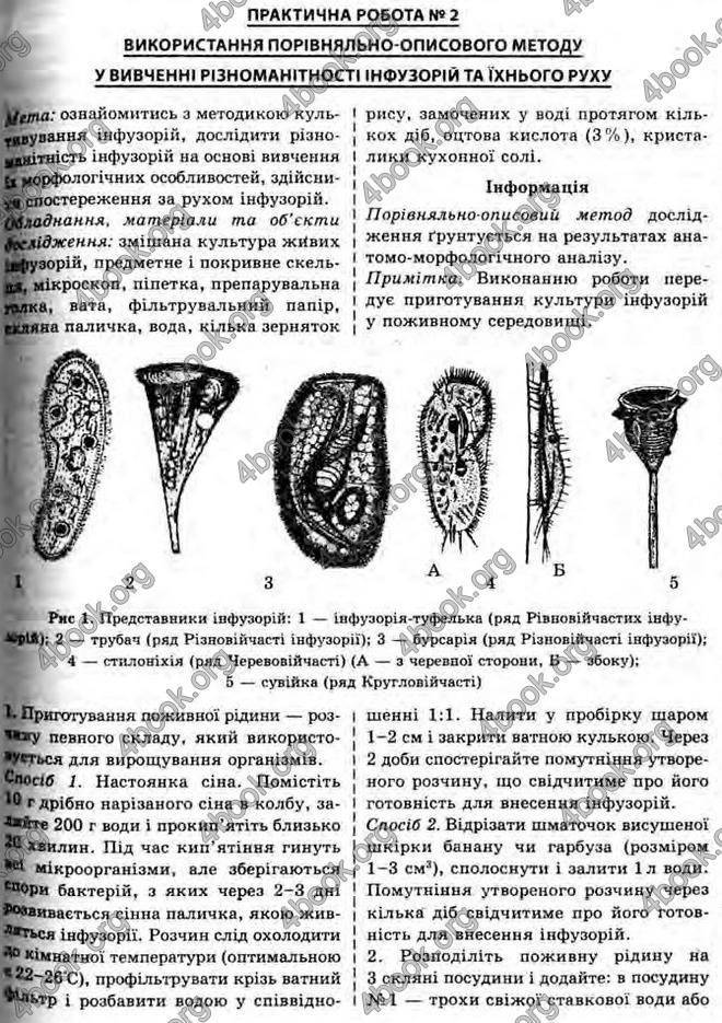 Відповіді Біологія 10 клас Межжерін. ГДЗ