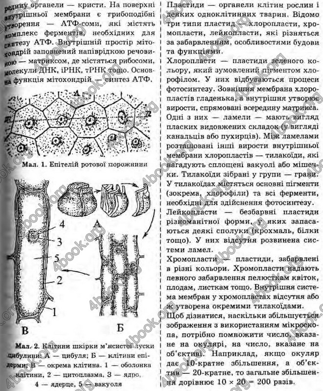 Відповіді Біологія 10 клас Межжерін. ГДЗ