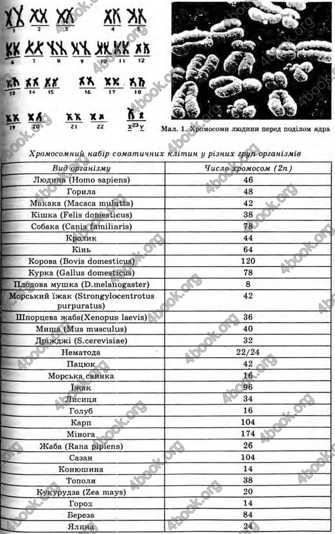 Відповіді Біологія 10 клас Межжерін. ГДЗ