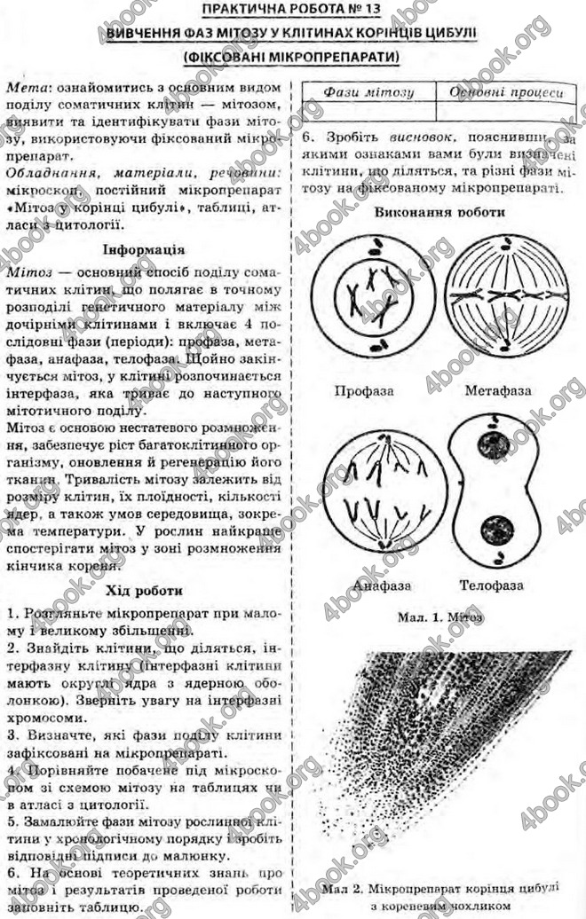 Відповіді Біологія 10 клас Межжерін. ГДЗ