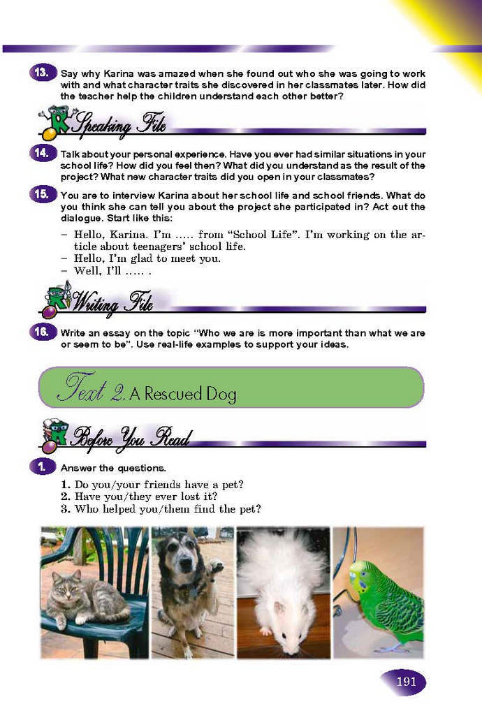 Англійська мова 9 клас Несвіт 2017