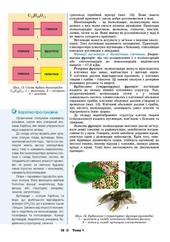 Біологія 9 клас Остапченко 2017