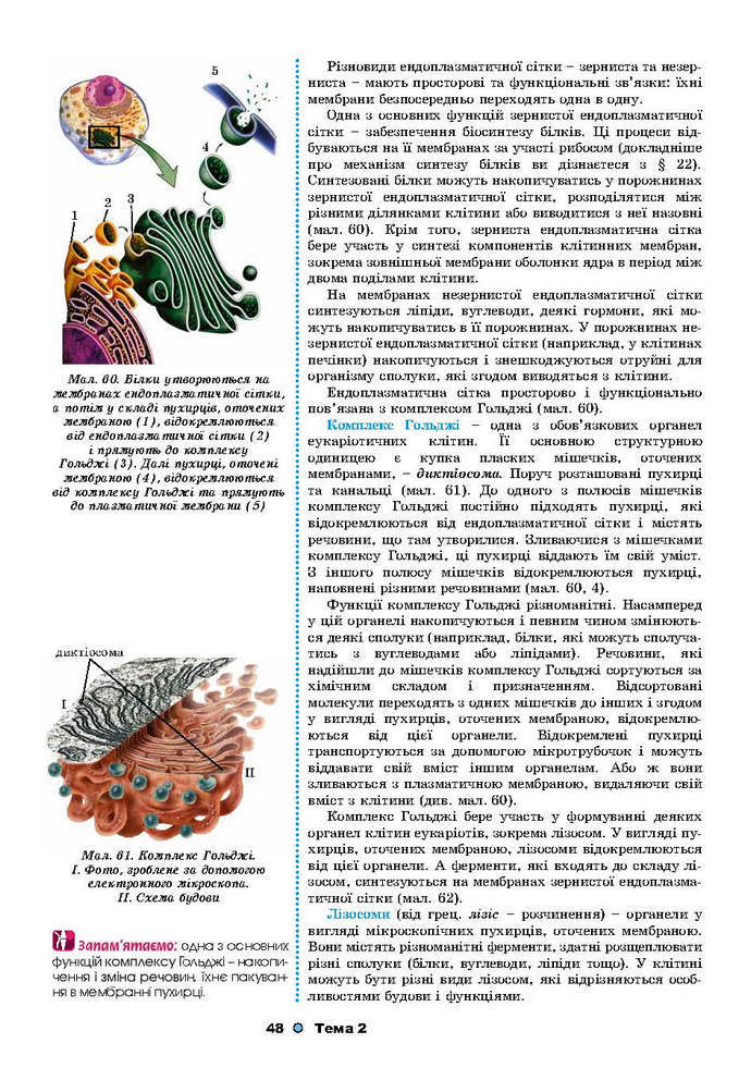 Біологія 9 клас Остапченко 2017