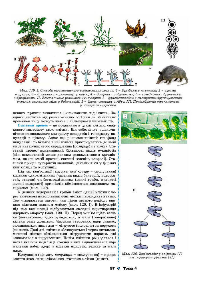 Біологія 9 клас Остапченко 2017
