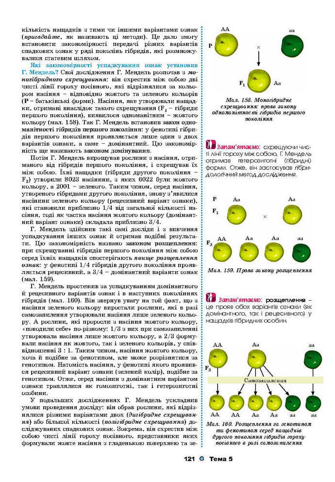 Біологія 9 клас Остапченко 2017