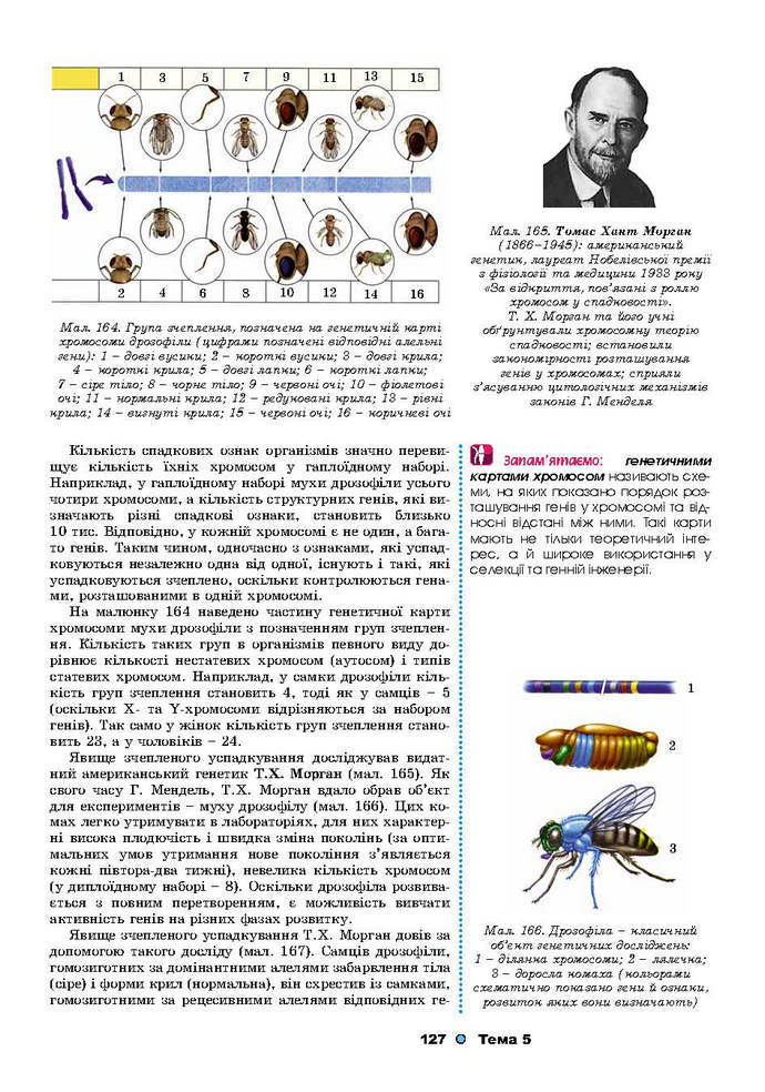 Біологія 9 клас Остапченко 2017
