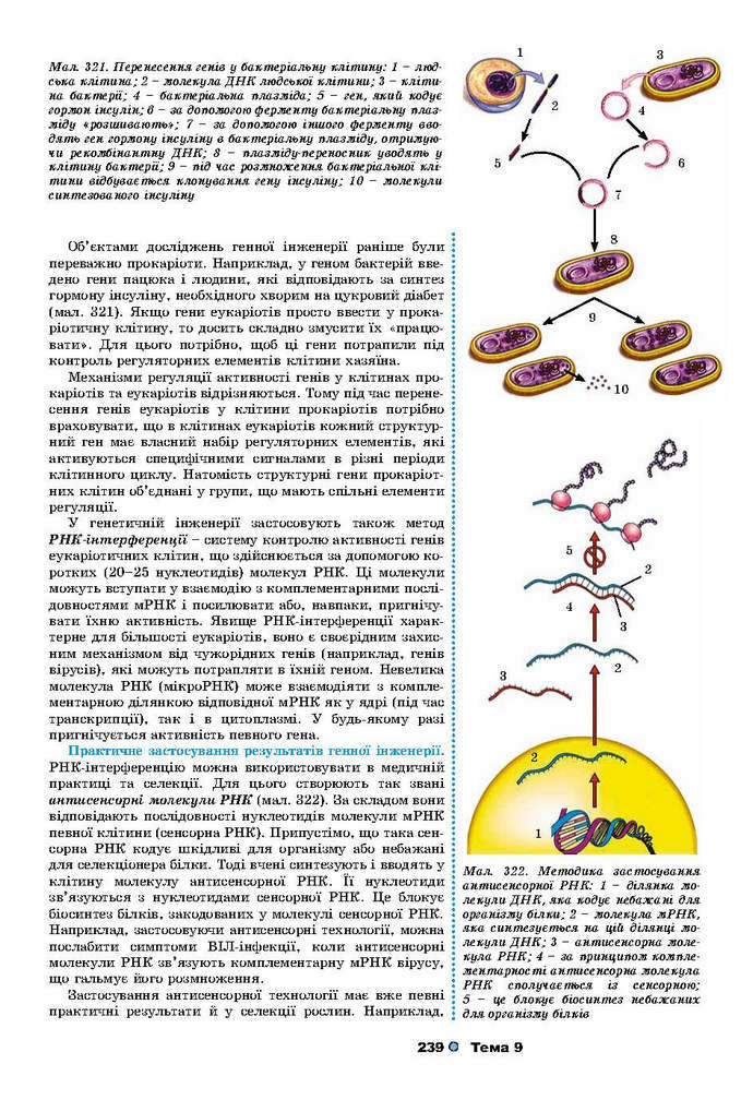Біологія 9 клас Остапченко 2017