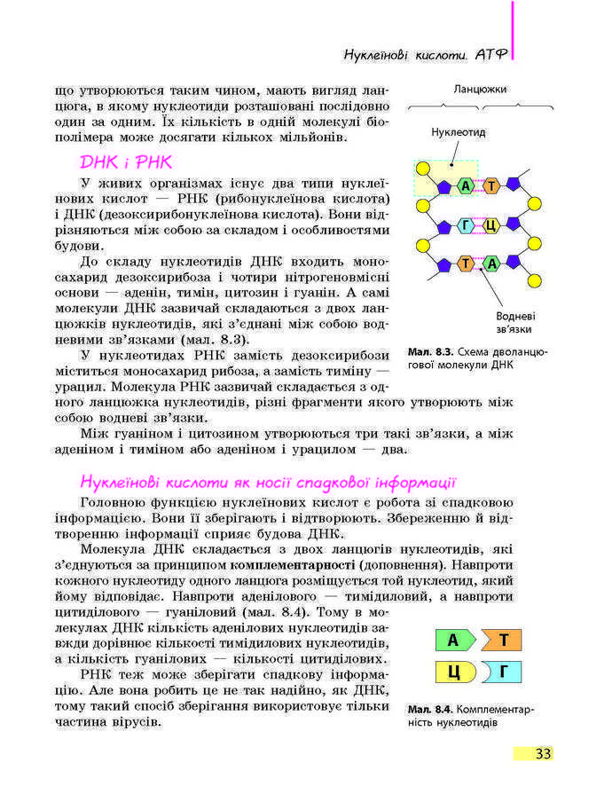 Підручник Біологія 9 клас Задорожний 2017