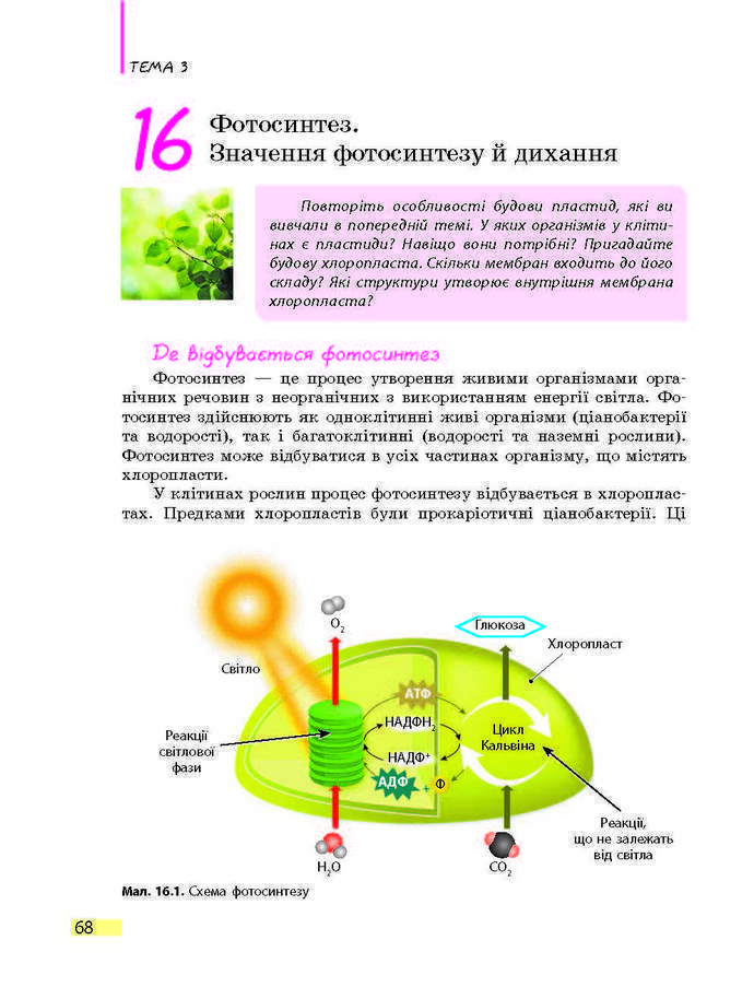 Підручник Біологія 9 клас Задорожний 2017