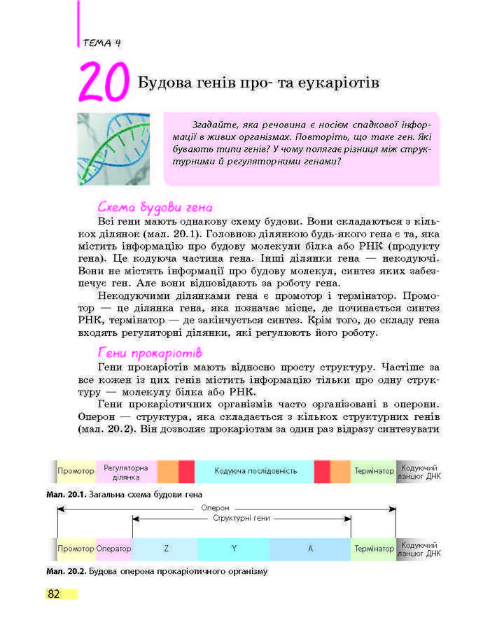 Підручник Біологія 9 клас Задорожний 2017