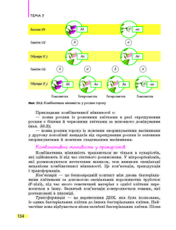 Підручник Біологія 9 клас Задорожний 2017