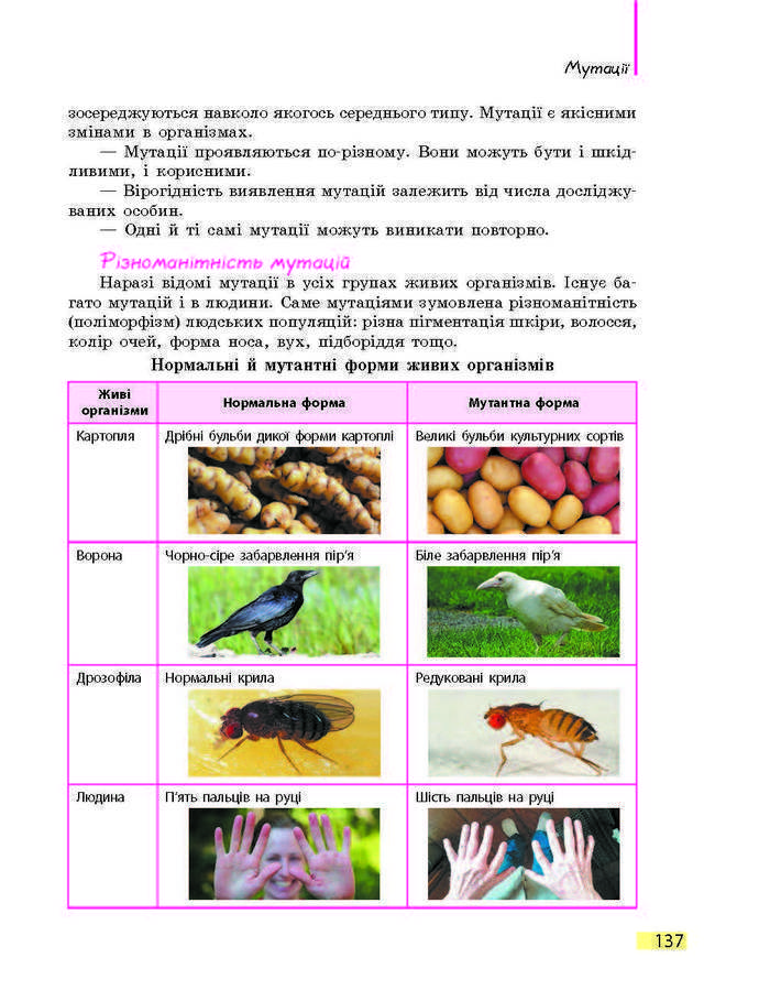 Підручник Біологія 9 клас Задорожний 2017