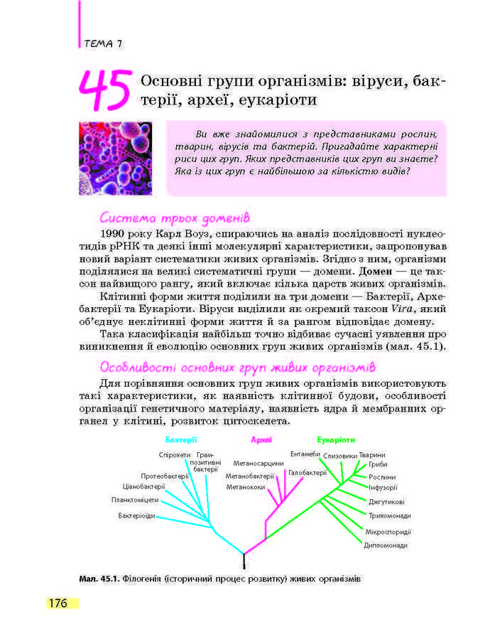 Підручник Біологія 9 клас Задорожний 2017