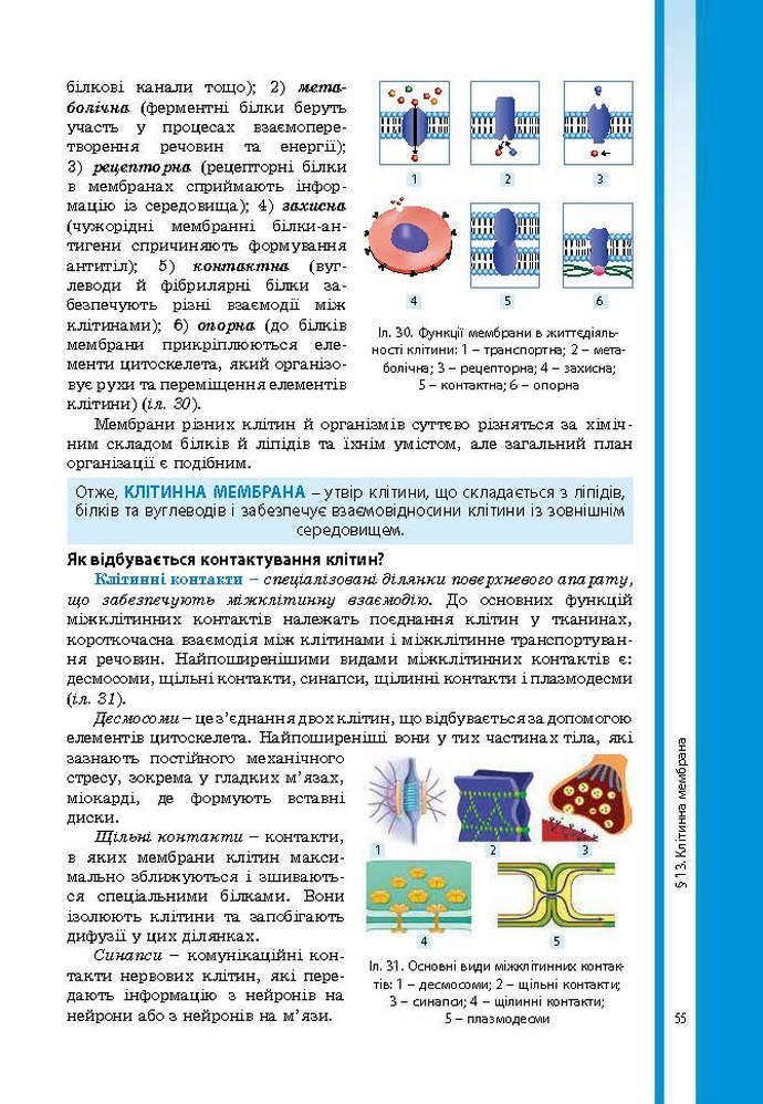 Підручник Біологія 9 клас Соболь 2017