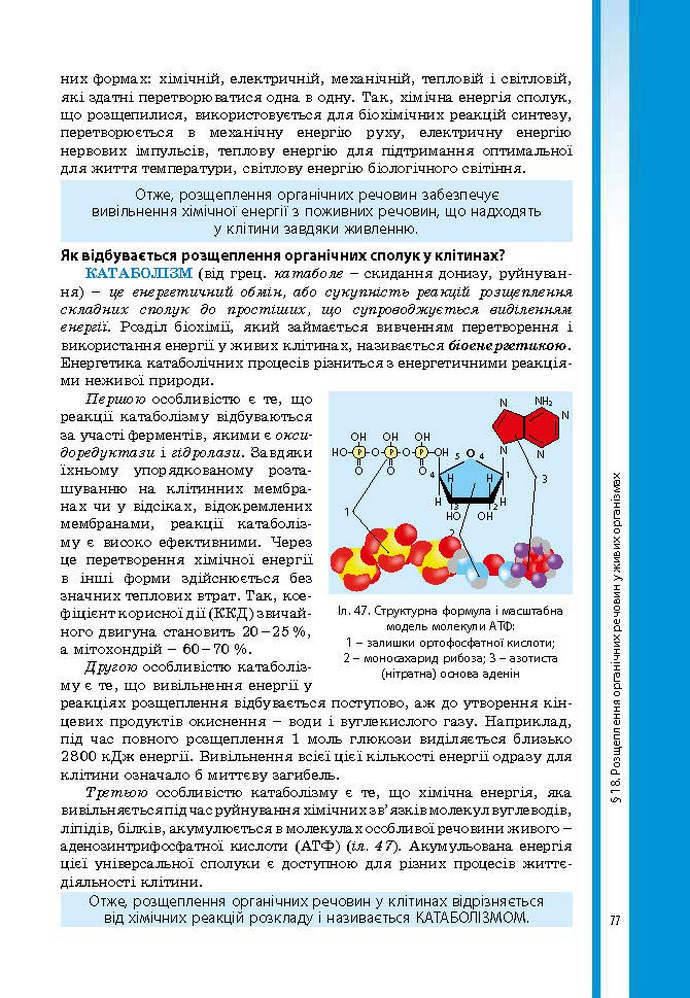 Підручник Біологія 9 клас Соболь 2017