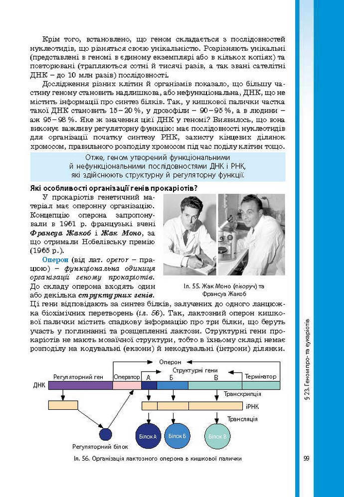 Підручник Біологія 9 клас Соболь 2017