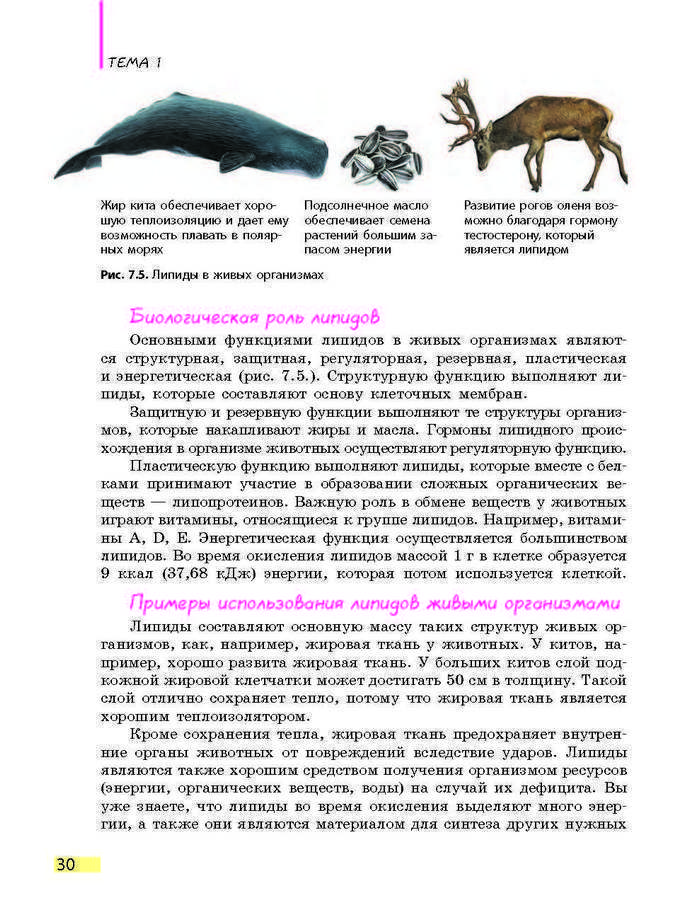 Биология 9 класс Задорожный 2017 (Рус.)