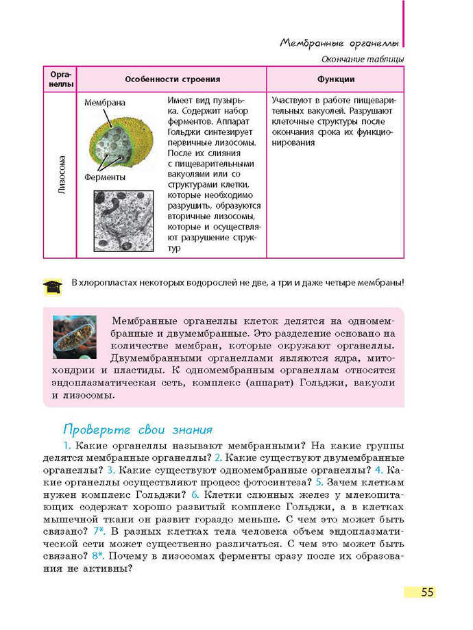 Биология 9 класс Задорожный 2017 (Рус.)