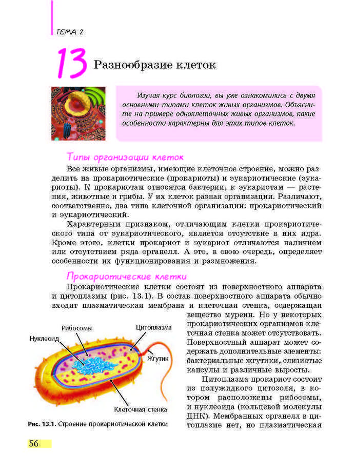 Биология 9 класс Задорожный 2017 (Рус.)