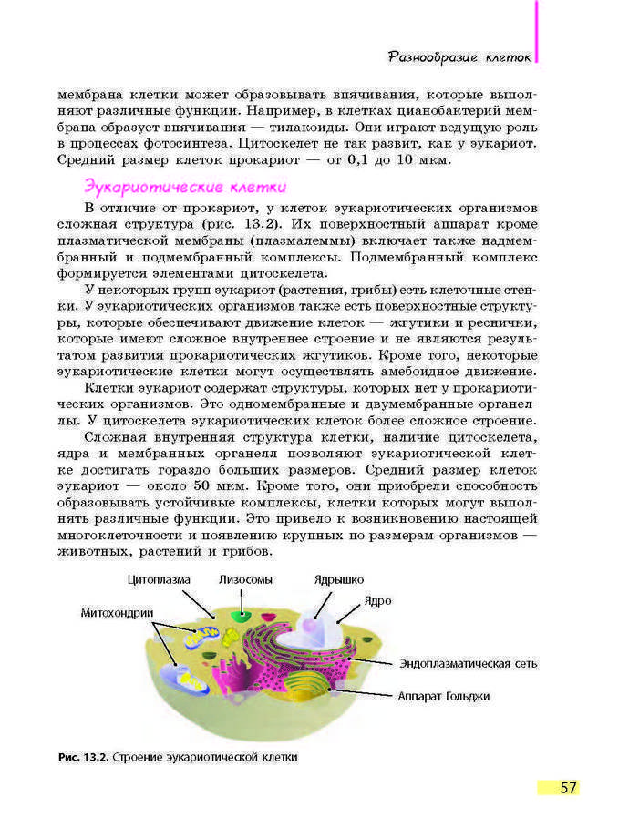 Биология 9 класс Задорожный 2017 (Рус.)