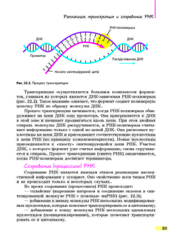 Биология 9 класс Задорожный 2017 (Рус.)