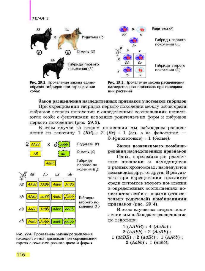 Биология 9 класс Задорожный 2017 (Рус.)
