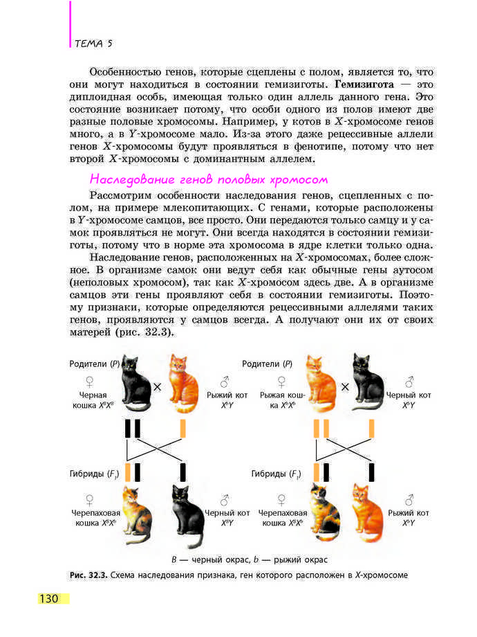 Биология 9 класс Задорожный 2017 (Рус.)