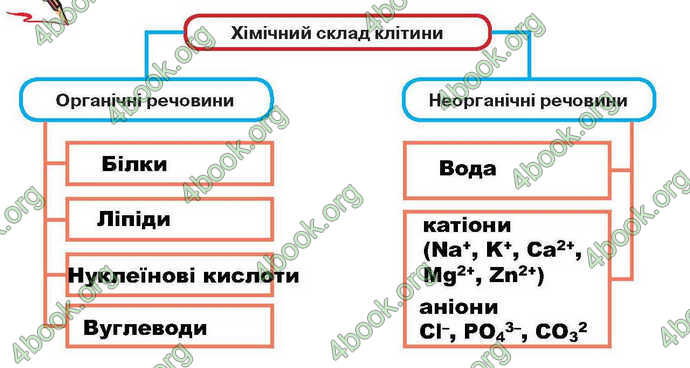 Відповіді Зошит Біологія 9 клас Андерсон 2017. ГДЗ