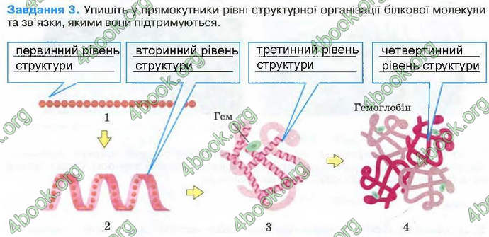 Відповіді Зошит Біологія 9 клас Андерсон 2017. ГДЗ