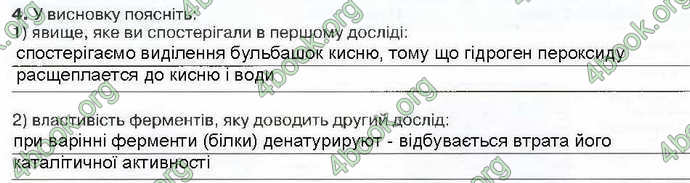 Відповіді Зошит Біологія 9 клас Андерсон 2017. ГДЗ