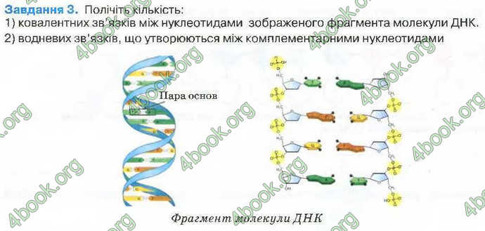 Відповіді Зошит Біологія 9 клас Андерсон 2017. ГДЗ