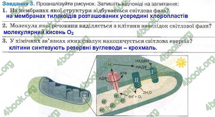 Відповіді Зошит Біологія 9 клас Андерсон 2017. ГДЗ